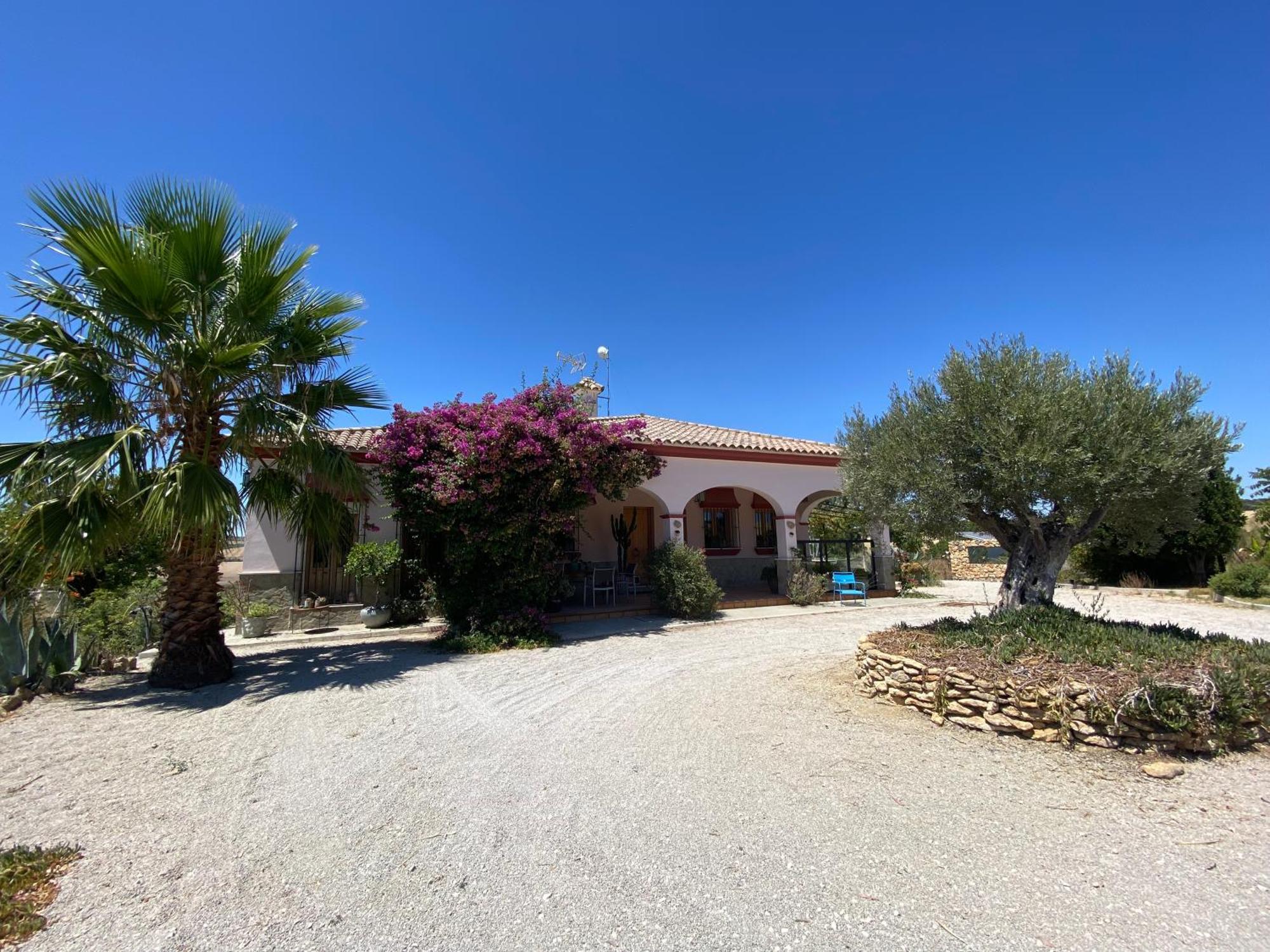 Villa Entre Mer Et Montagne Arcos de la Frontera Exterior foto